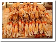 How seriously do you take ethical eating?