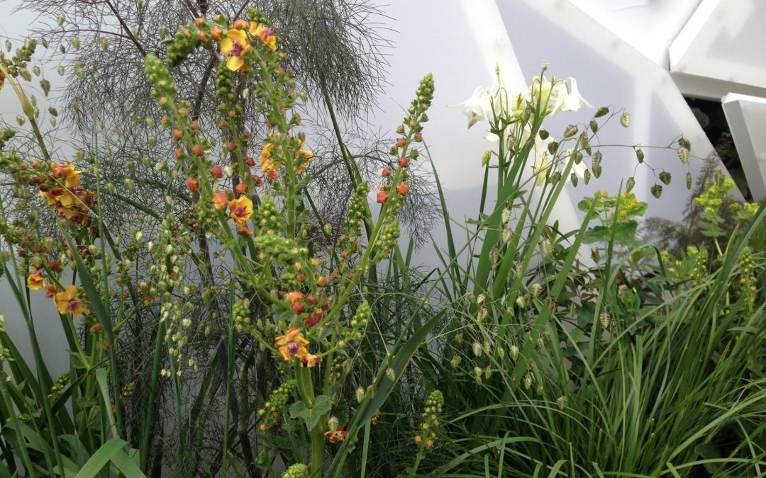 The world’s first tweeting garden