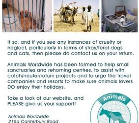 Suzy’s appeal on animals and hols