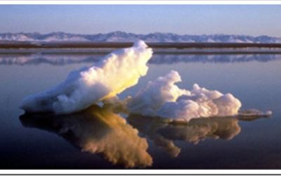 Some climate change answers