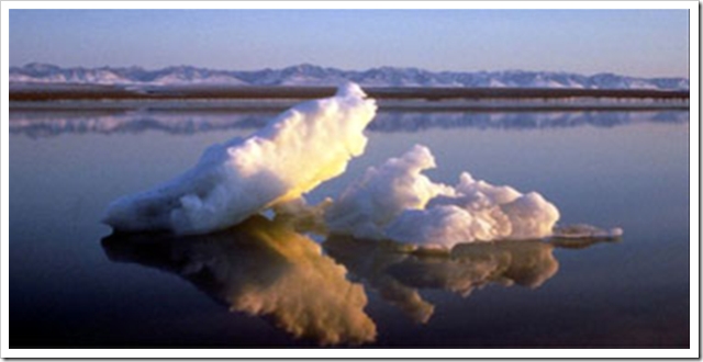 Some climate change answers