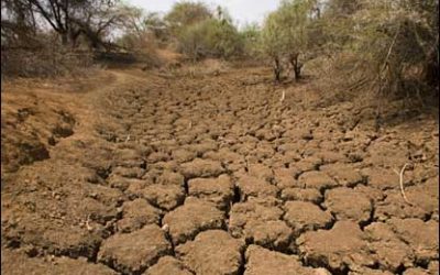 Will there be a 2006 Minister of Drought?