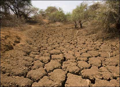 Will there be a 2006 Minister of Drought?