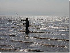 Cod pieces and butter mountains