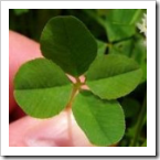 Wishing Janice the very best of luck