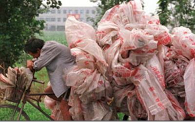 Plastic bags don’t grow on trees