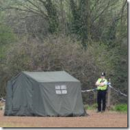 Parents of torture boys should be held to account