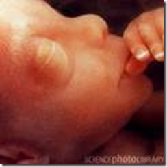 Men are traumatised by abortion too