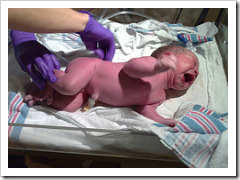 Welcome to the world, baby Milan Scoble