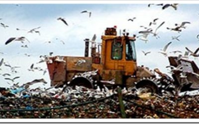 Should London’s rubbish be dumped in Cambridgeshire?