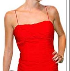 Internet celebs favouring WordPress