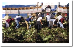 How will John Reid fine our new migrant workers?