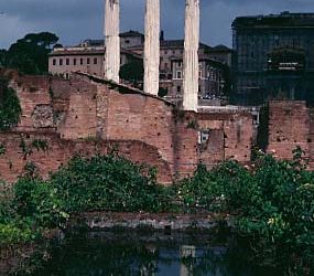 Fenland abounds with Latin lovers