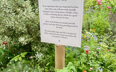 Sandringham’s Queen Bee Flower Power