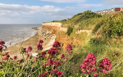 Royal Commission into coastal erosion – more than 100 years ago!